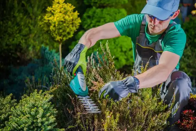 landscaping services Glasgow Village